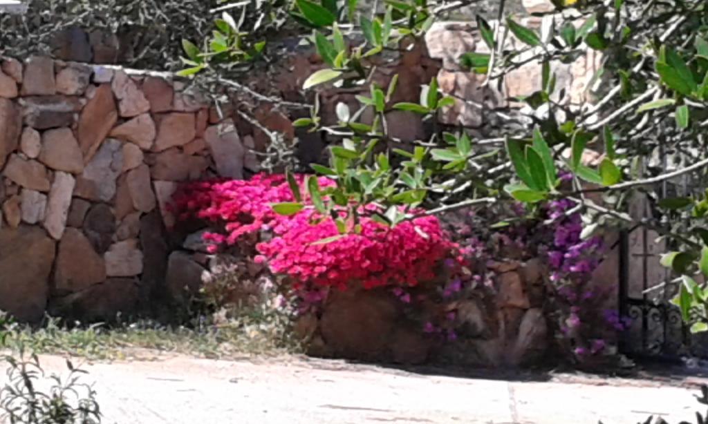 Villa Graniti San Pantaleo Εξωτερικό φωτογραφία